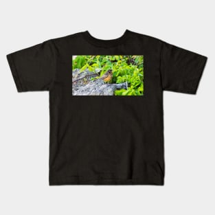 A Young Juvenile American Robin Standing On A Rock Kids T-Shirt